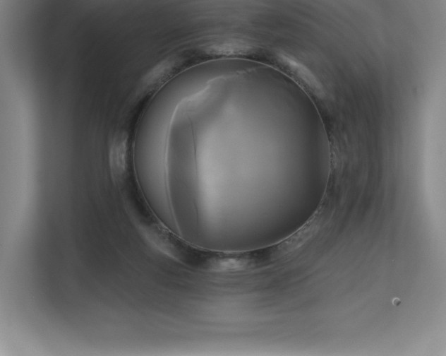 X0000111240163200907021418