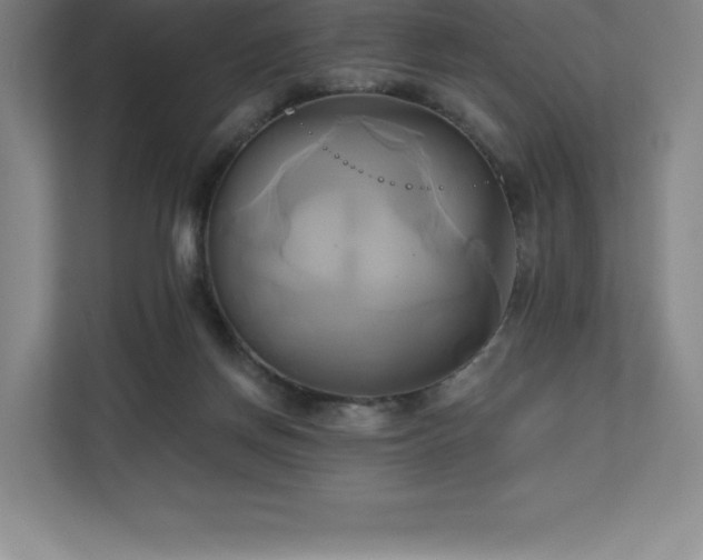 X0000111240166200907021418