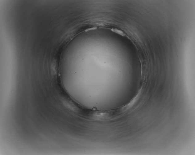 X0000111240174200907021418