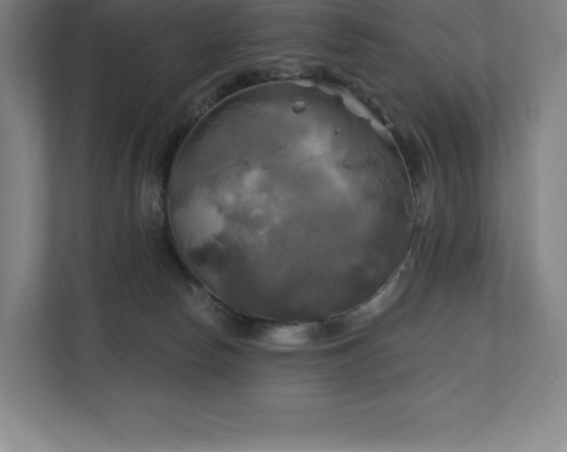 X0000111240178200907021418