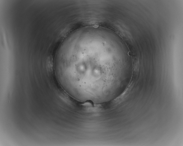 X0000111240179200907021418