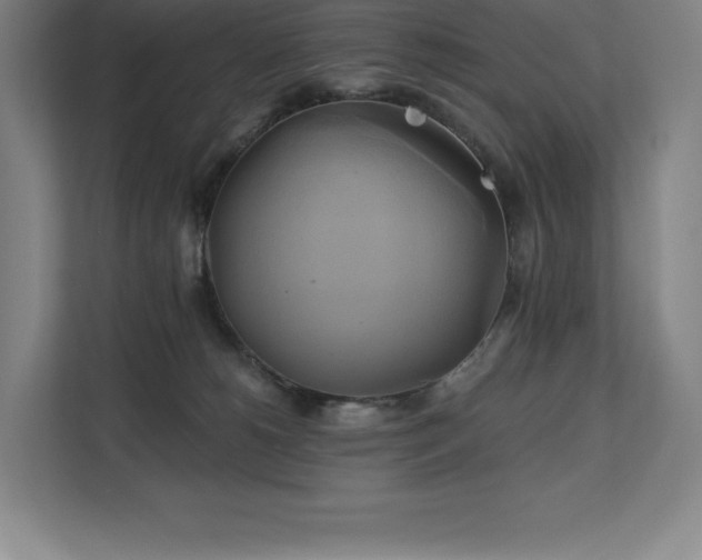 X0000111240180200907021418
