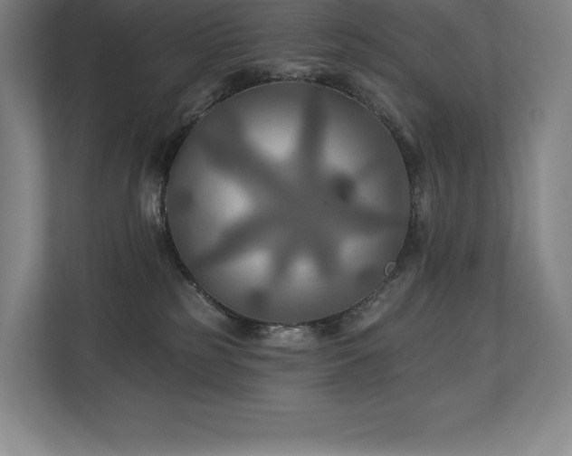 X0000111240185200907021418