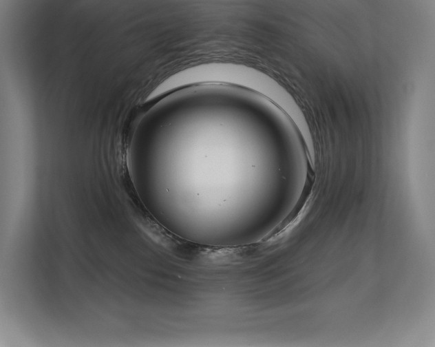 X0000111240186200907021418