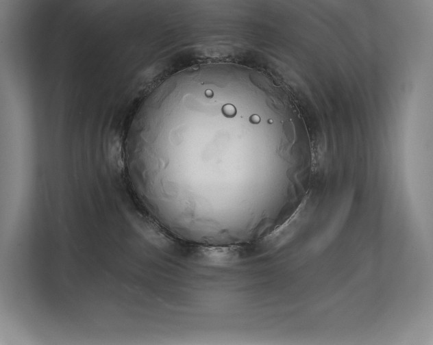 X0000111240187200907021418