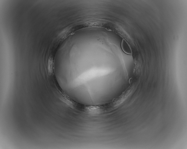 X0000111240189200907021418