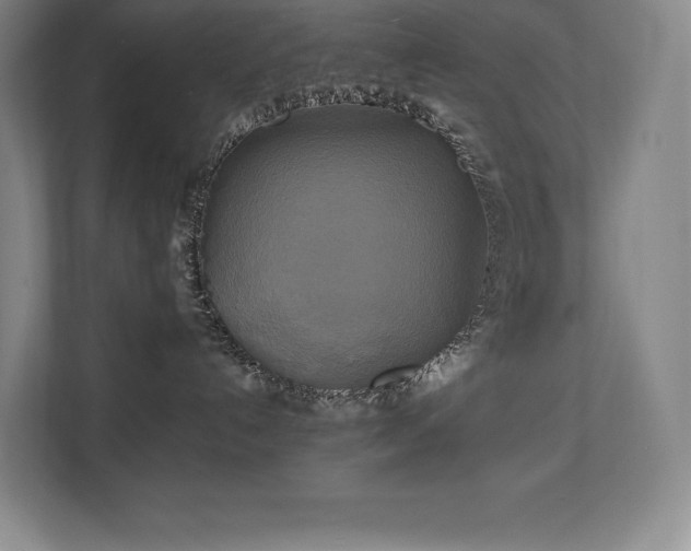 X0000111240192200907021418