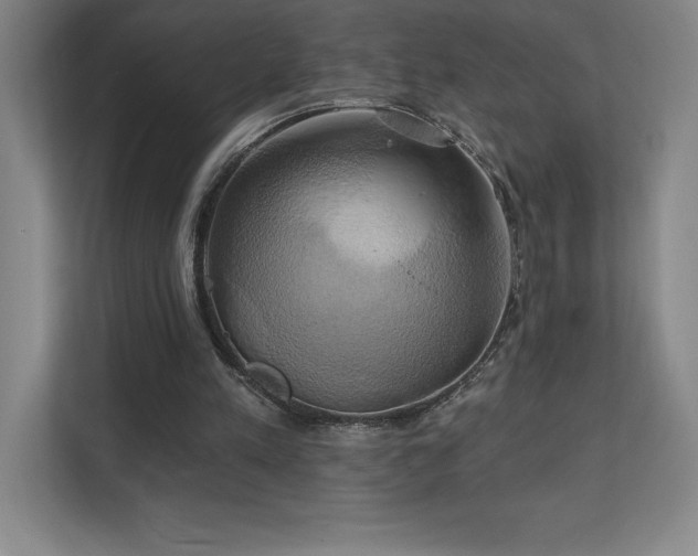 X0000111240197200907021418