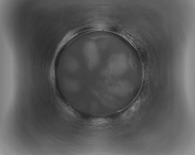 X0000111240198200907021418