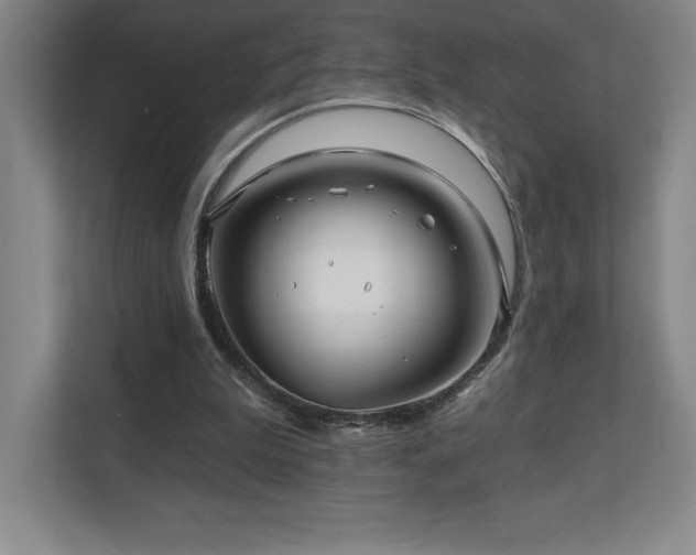 X0000111240199200907021418