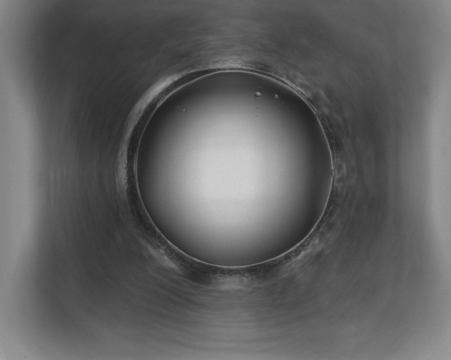 X0000111240200200907021418