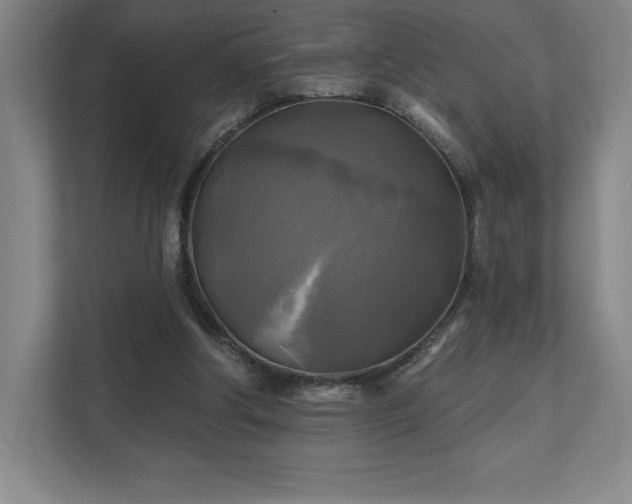 X0000111240202200907021418
