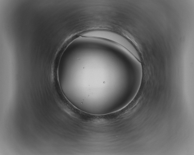 X0000111240203200907021418
