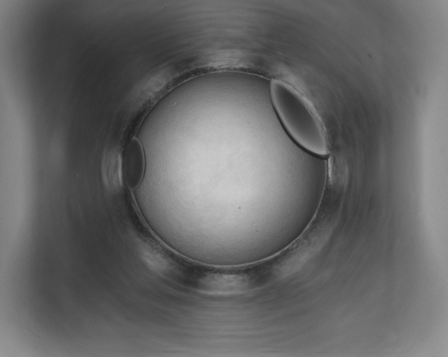 X0000111240205200907021418