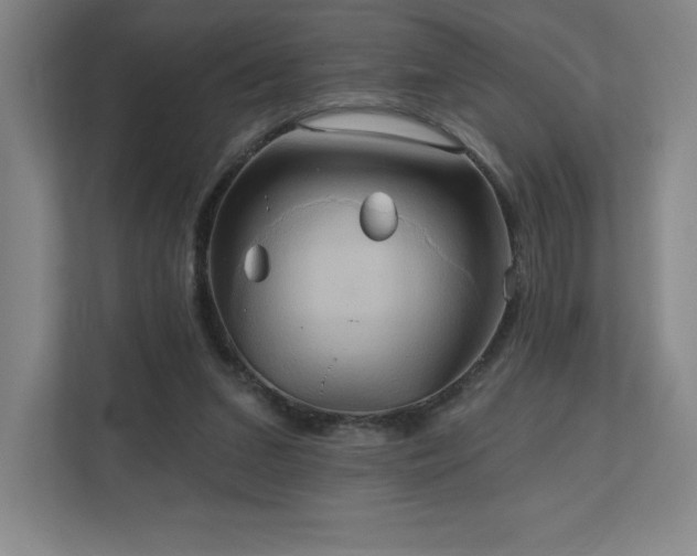 X0000111240207200907021418