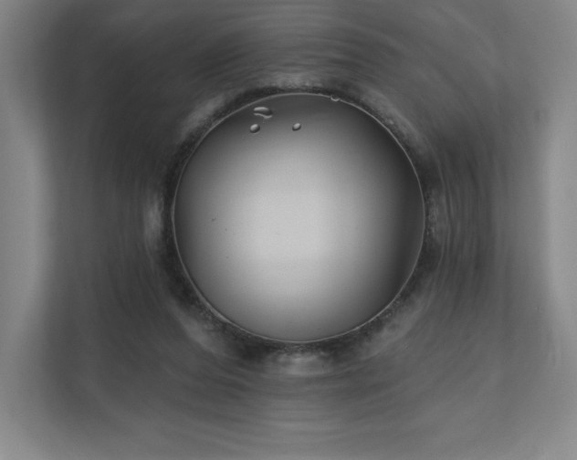 X0000111240208200907021418