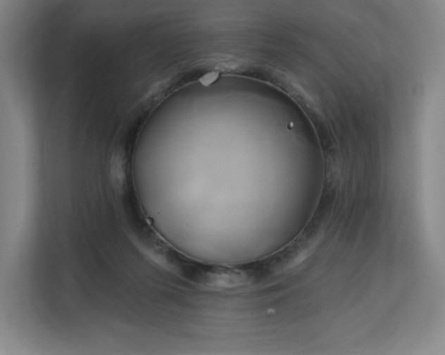 X0000111240215200907021418