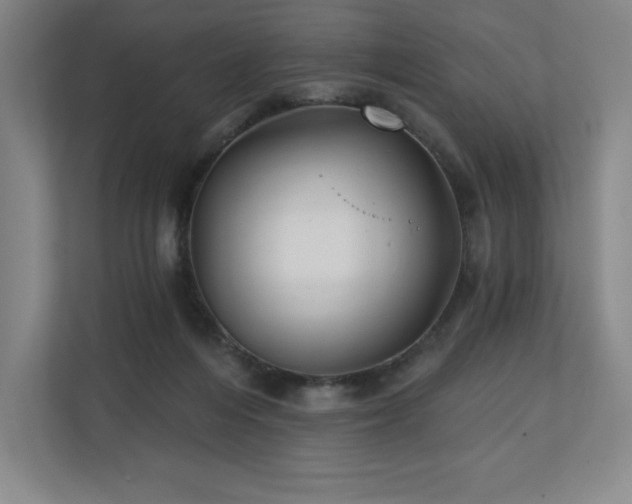 X0000111240216200907021418