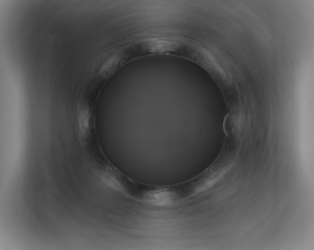 X0000111240219200907021417