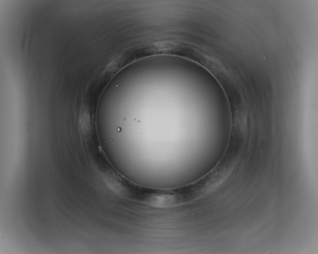 X0000111240220200907021417