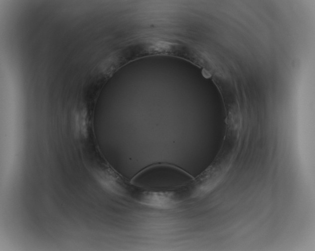 X0000111240223200907021417