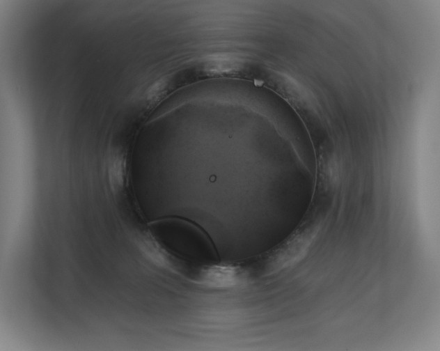 X0000111240227200907021417