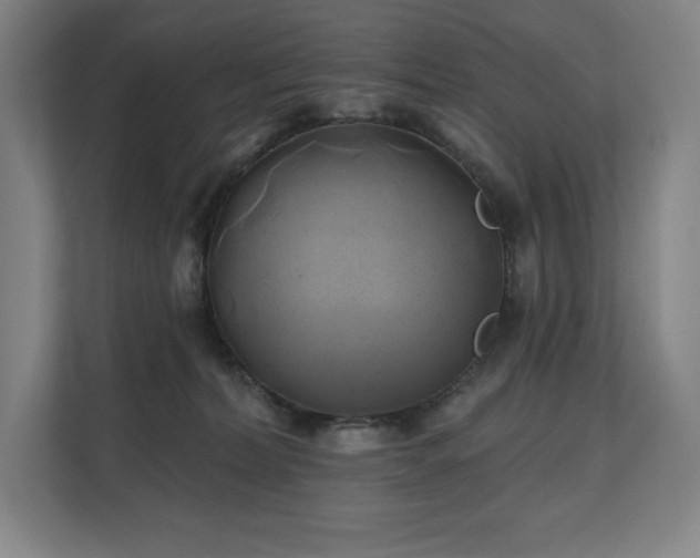 X0000111240228200907021417