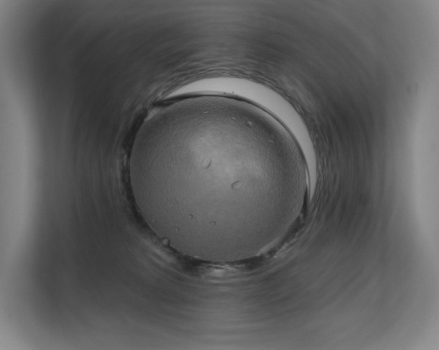X0000111240229200907021417