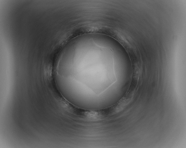 X0000111240230200907021417