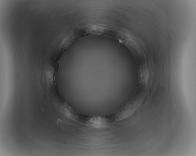 X0000111240231200907021417