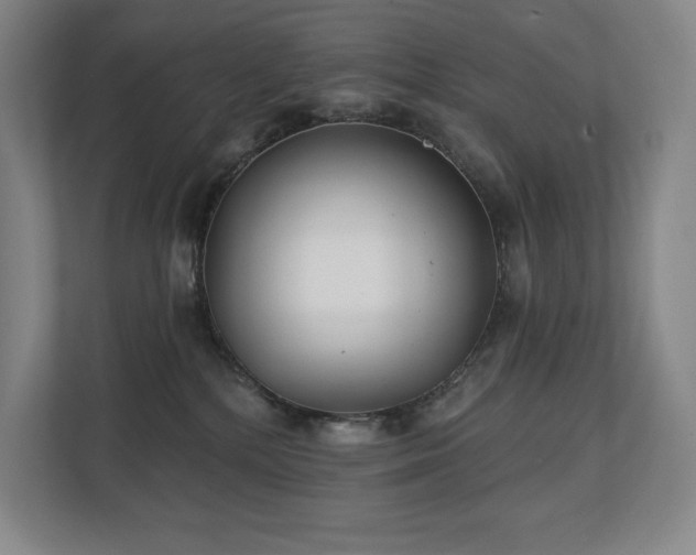 X0000111240232200907021417