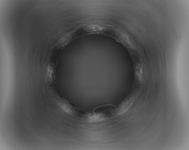 X0000111240235200907021417