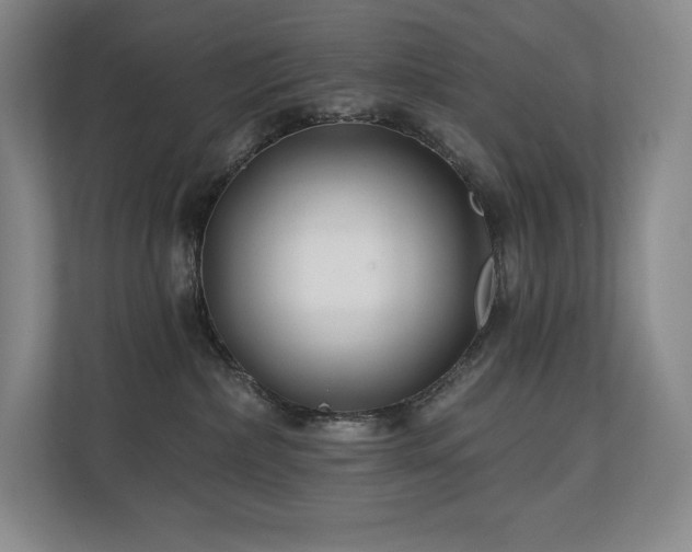 X0000111240236200907021417