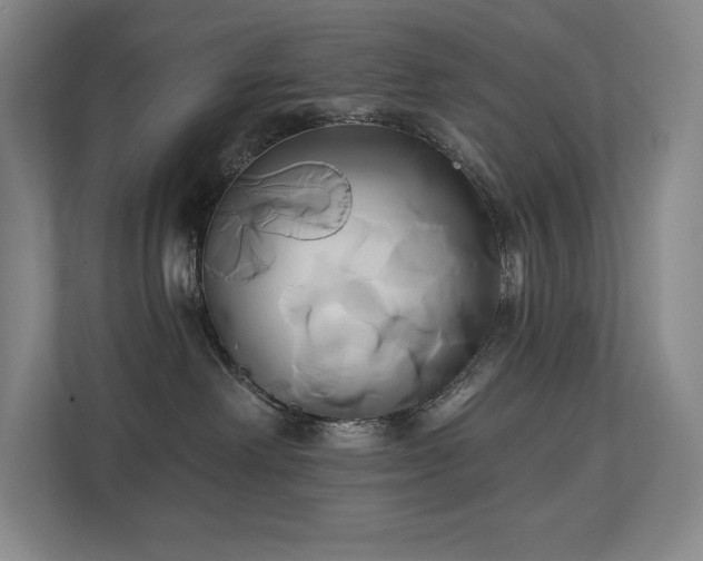 X0000111240238200907021417
