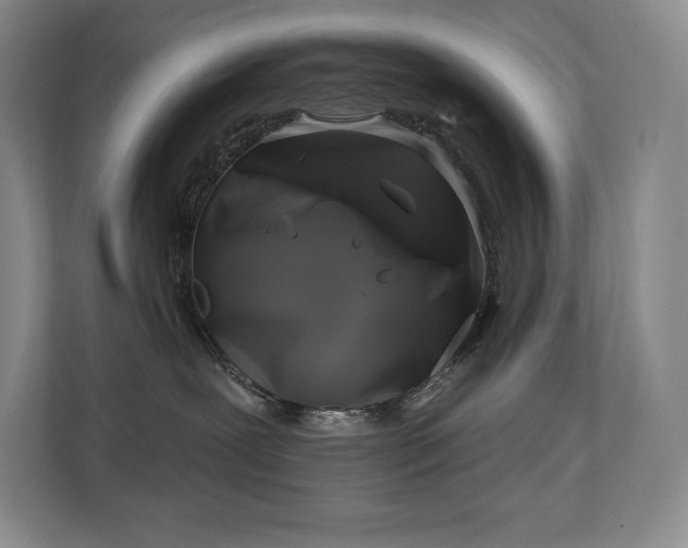 X0000111240239200907021417