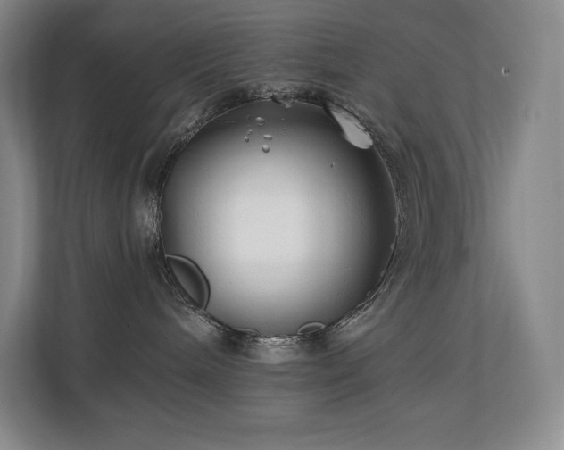 X0000111240240200907021417