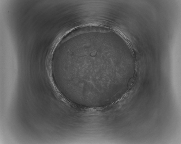 X0000111240241200907021417