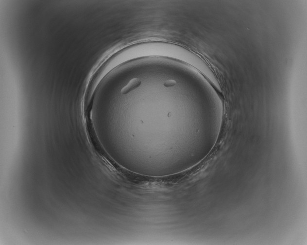 X0000111240244200907021417