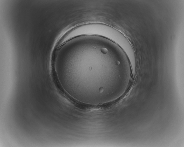 X0000111240248200907021417