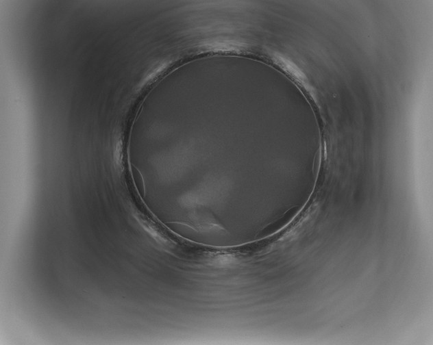 X0000111240249200907021417