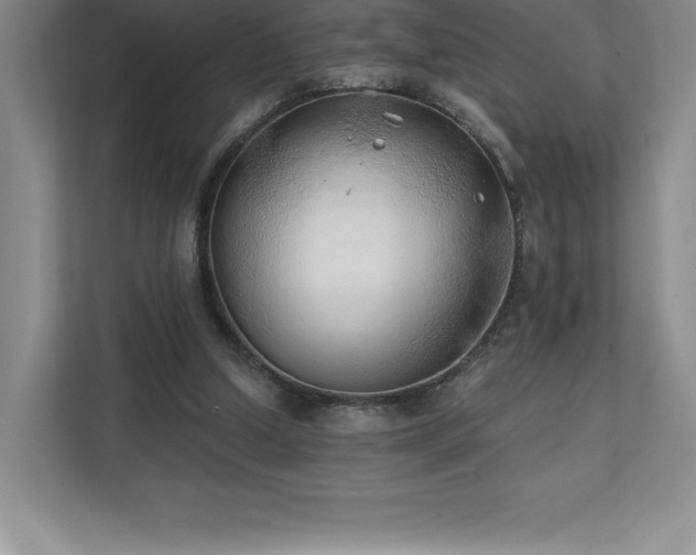 X0000111240250200907021417