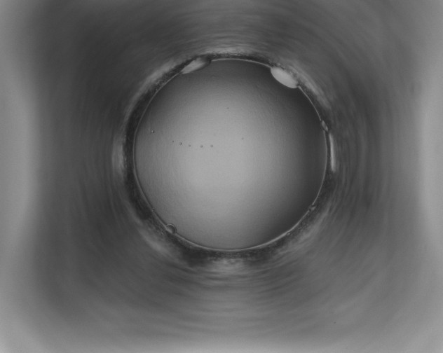 X0000111240252200907021417