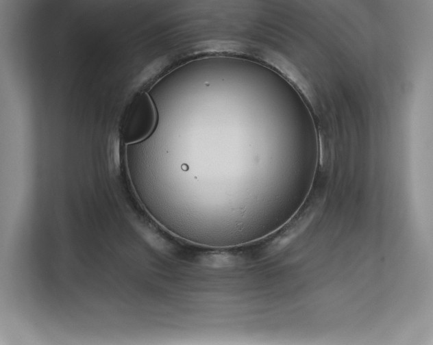 X0000111240253200907021417