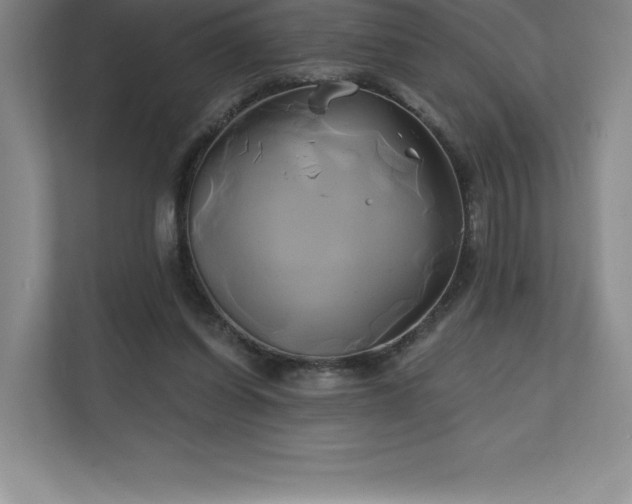 X0000111240254200907021417