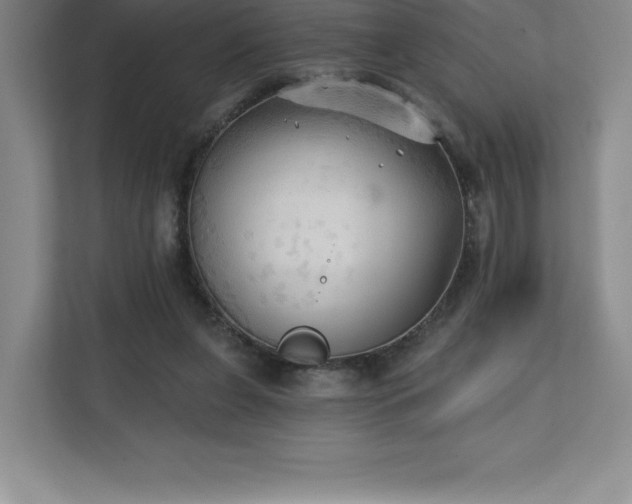 X0000111240255200907021417