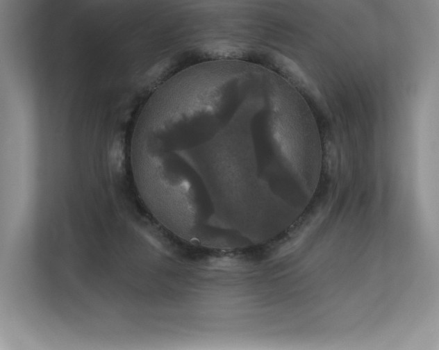 X0000111240259200907021417