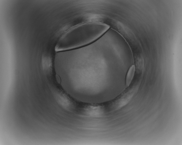 X0000111240260200907021417