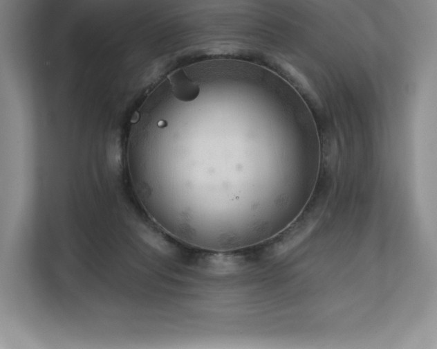 X0000111240261200907021417