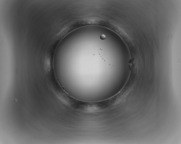 X0000111240262200907021417
