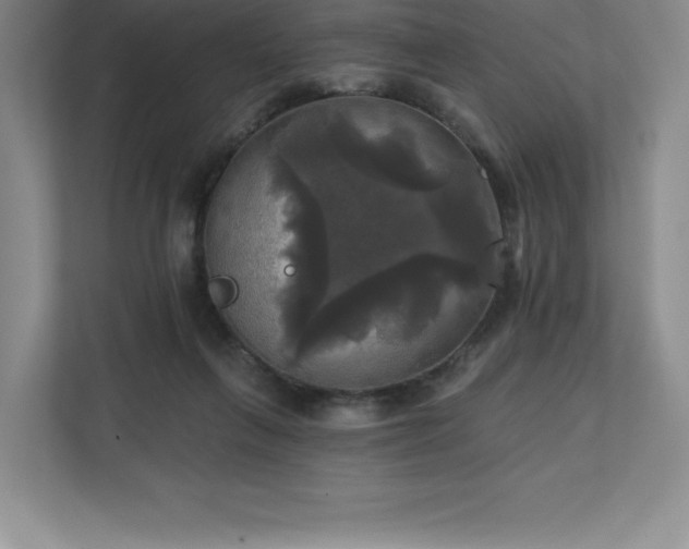 X0000111240263200907021417